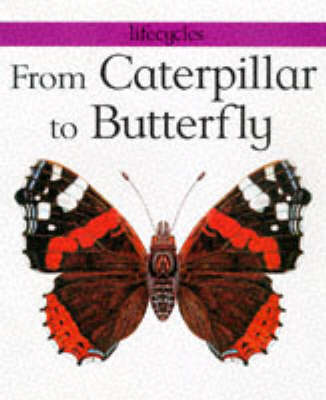 Book cover for From Caterpillar to Butterfly