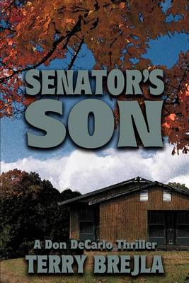 Book cover for Senator's Son