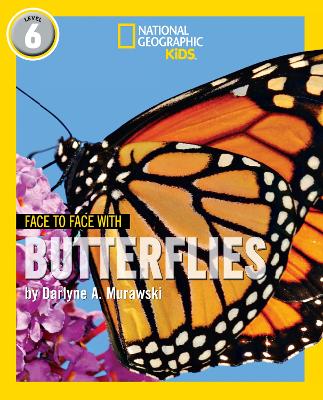 Cover of Face to Face with Butterflies