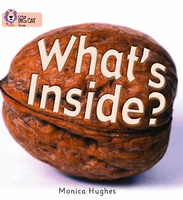 Book cover for What’s Inside?