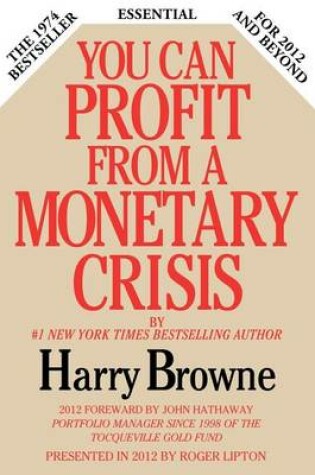 Cover of You Can Profit from a Monetary Crisis