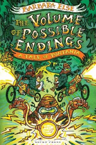 Cover of The Volume of Possible Endings