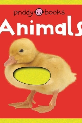 Cover of First Felt Animals (First Felt)