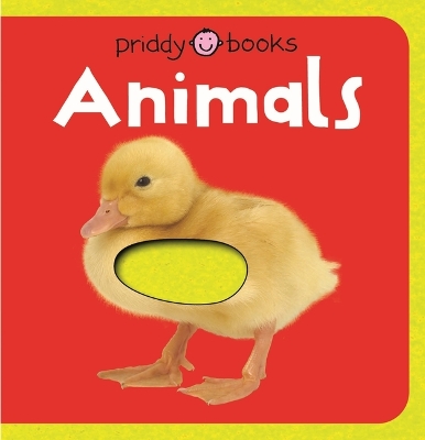 Book cover for First Felt Animals (First Felt)