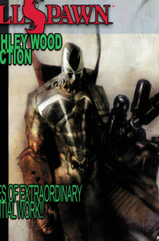 Cover of Hellspawn: The Ashley Wood Collection