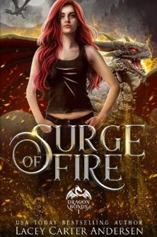 Cover of Surge of Fire