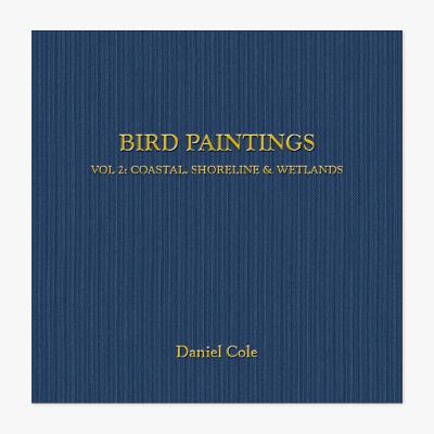 Cover of BIRD PAINTINGS