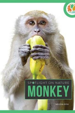 Cover of Monkey