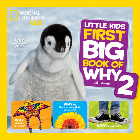Book cover for Little Kids First Big Book of Why 2