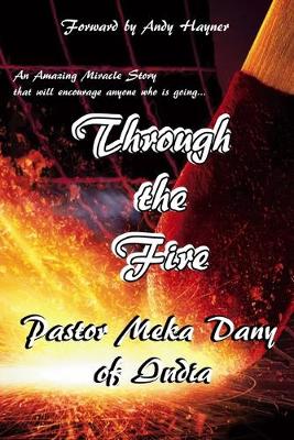 Book cover for Through the Fire