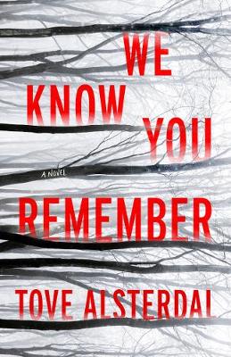 Book cover for We Know You Remember