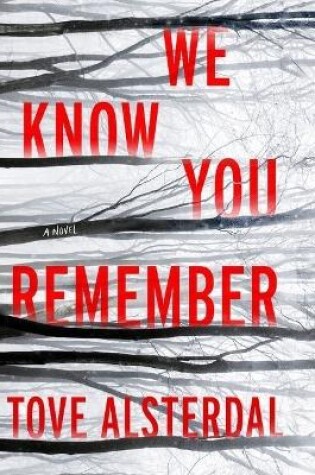 Cover of We Know You Remember