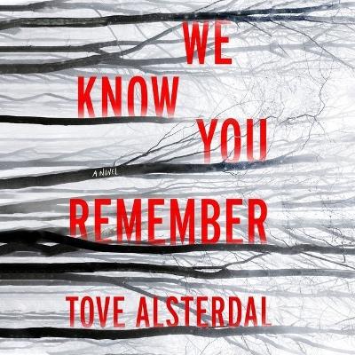 Book cover for We Know You Remember