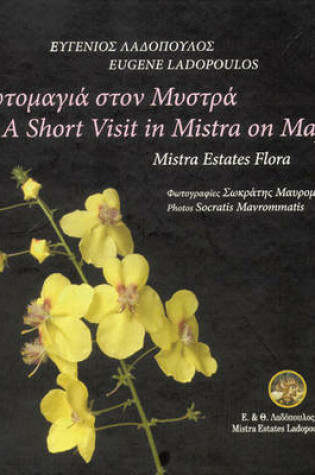 Cover of A Short Visit to Mistra on May 1st