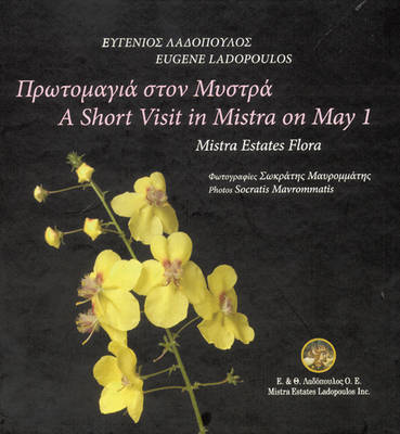 Cover of A Short Visit to Mistra on May 1st