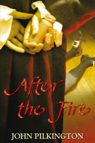 Cover of After the Fire