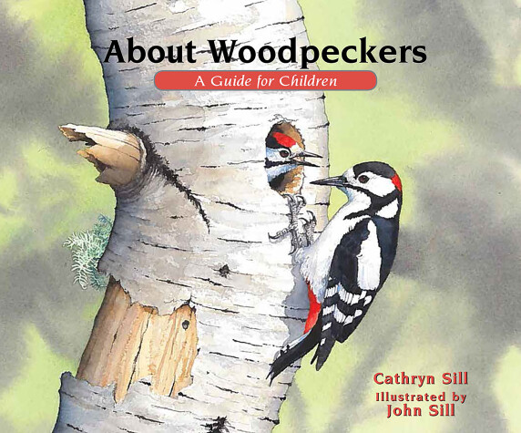 Book cover for About Woodpeckers