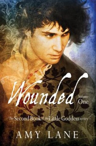 Cover of Wounded, Vol. 1