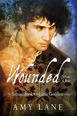 Book cover for Wounded, Vol. 1