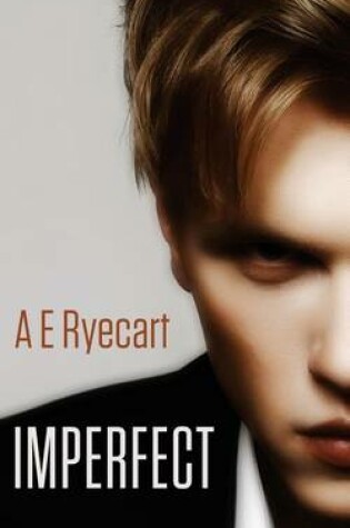 Cover of Imperfect