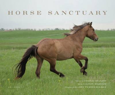 Book cover for Horse Sanctuary