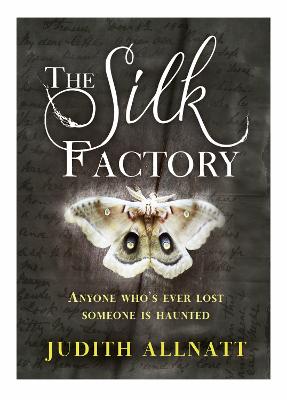 Book cover for The Silk Factory