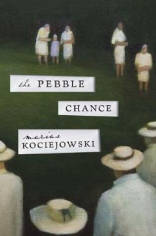 Cover of The Pebble Chance