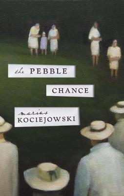 Book cover for The Pebble Chance