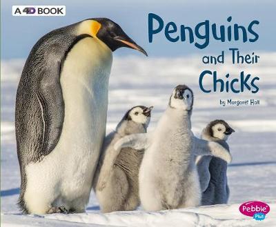 Book cover for Animal Offspring Penguins and Their Chicks a 4D Book