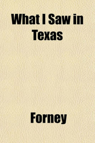 Cover of What I Saw in Texas