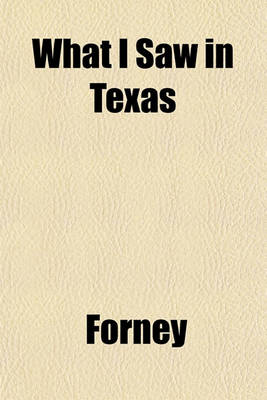 Book cover for What I Saw in Texas