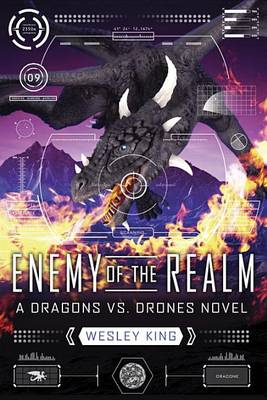 Book cover for Enemy Of The Realm