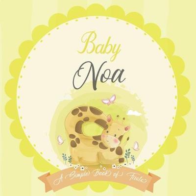 Book cover for Baby Noa A Simple Book of Firsts