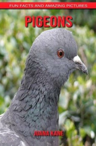 Cover of Pigeons