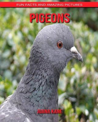 Book cover for Pigeons