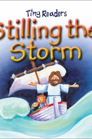 Cover of Stilling The Storm