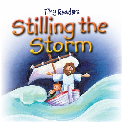 Book cover for Stilling The Storm