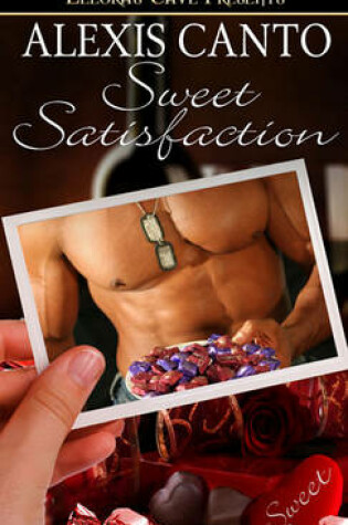Cover of Sweet Satisfaction