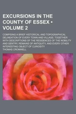 Cover of Excursions in the County of Essex (Volume 2); Compising a Brief Historical and Topographical Delineation of Every Town and Village Together with Descr