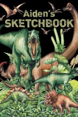 Cover of Aiden's Sketchbook