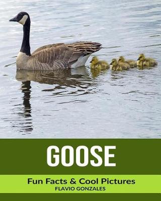 Book cover for Goose