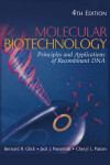 Book cover for Molecular Biotechnology