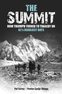 Book cover for The Summit