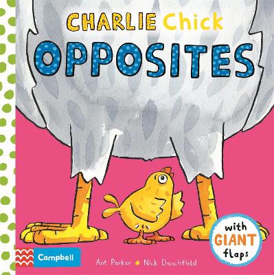 Book cover for Charlie Chick Opposites
