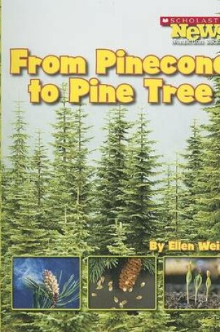 Cover of From Pinecone to Pine Tree