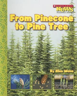 Book cover for From Pinecone to Pine Tree