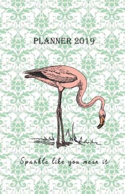 Book cover for Planner 2019 Sparkle Like You Mean It