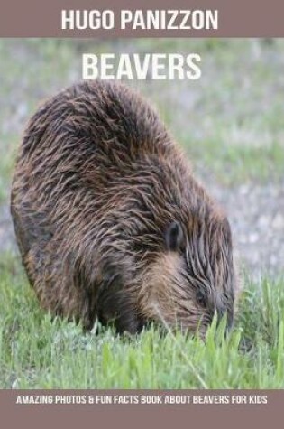 Cover of Beavers