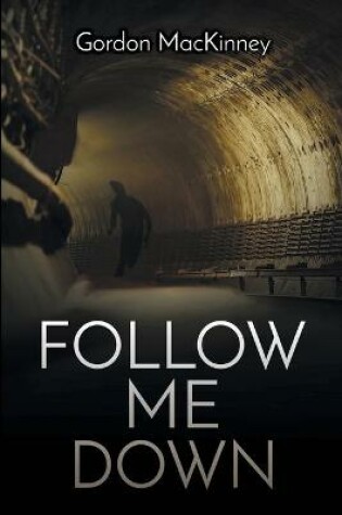 Cover of Follow Me Down