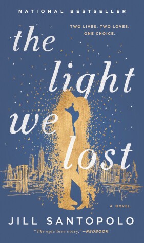 Book cover for The Light We Lost